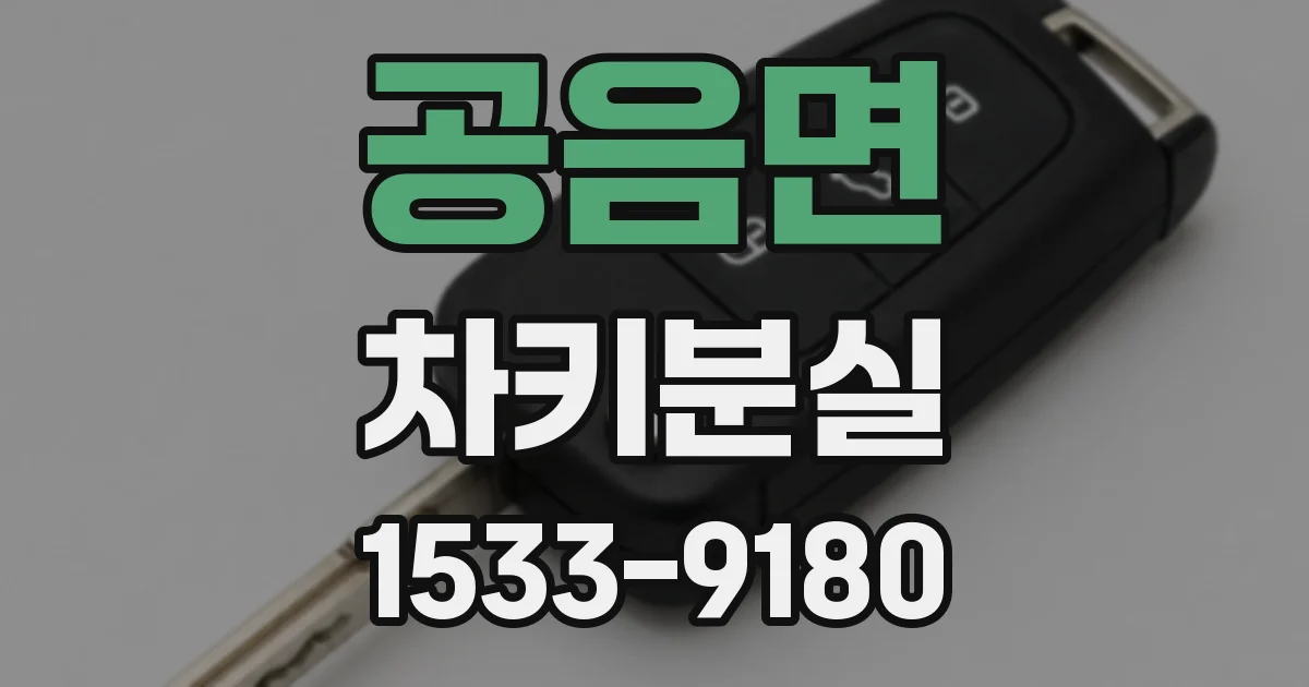 공음면 차키분실