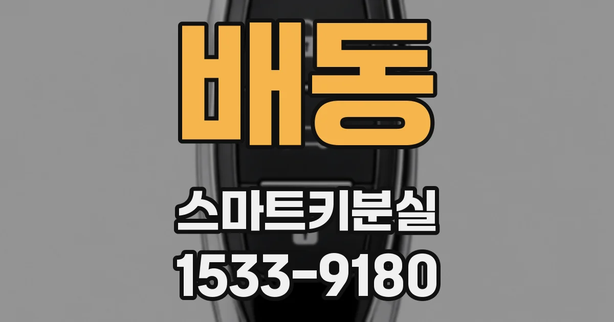 배동 스마트키분실