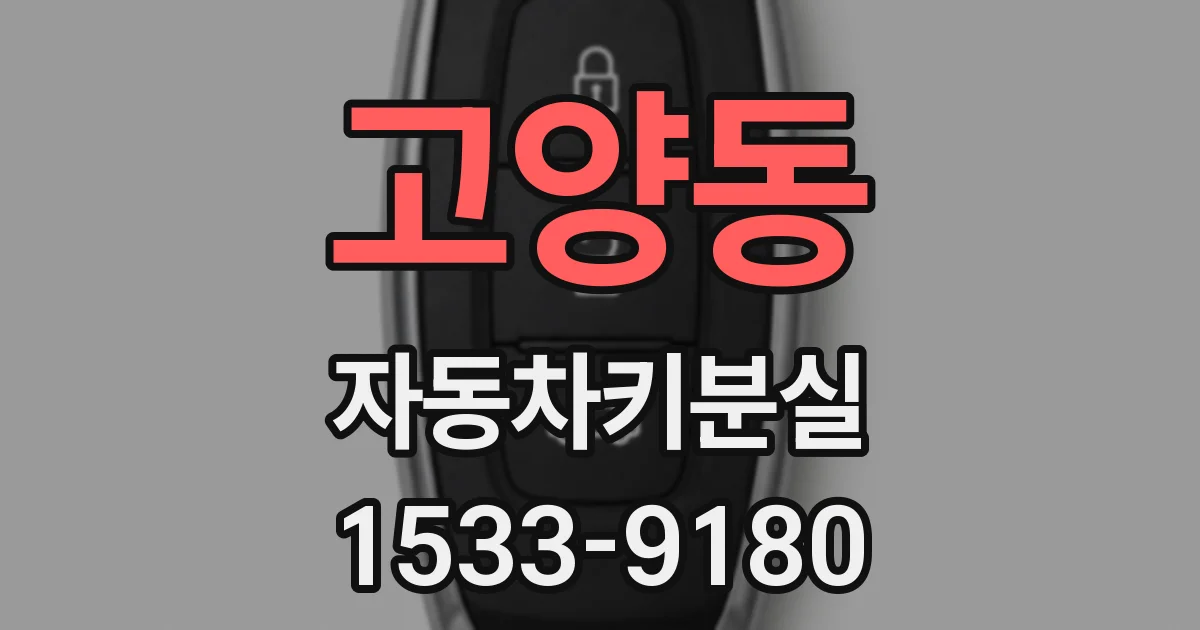 고양동 자동차키분실