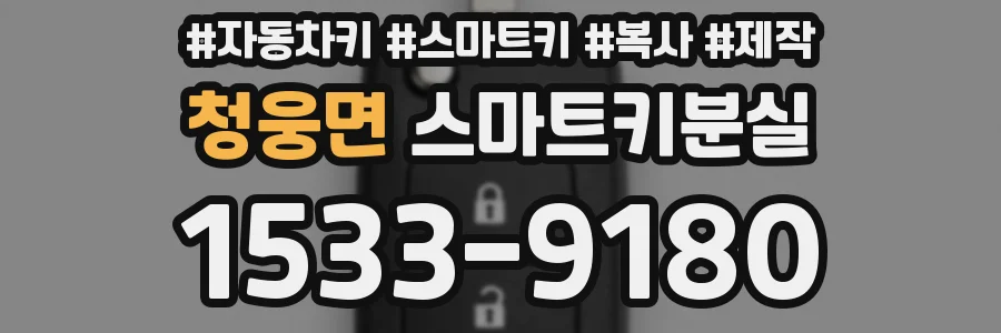 청웅면 스마트키분실