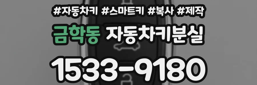 금학동 자동차키분실