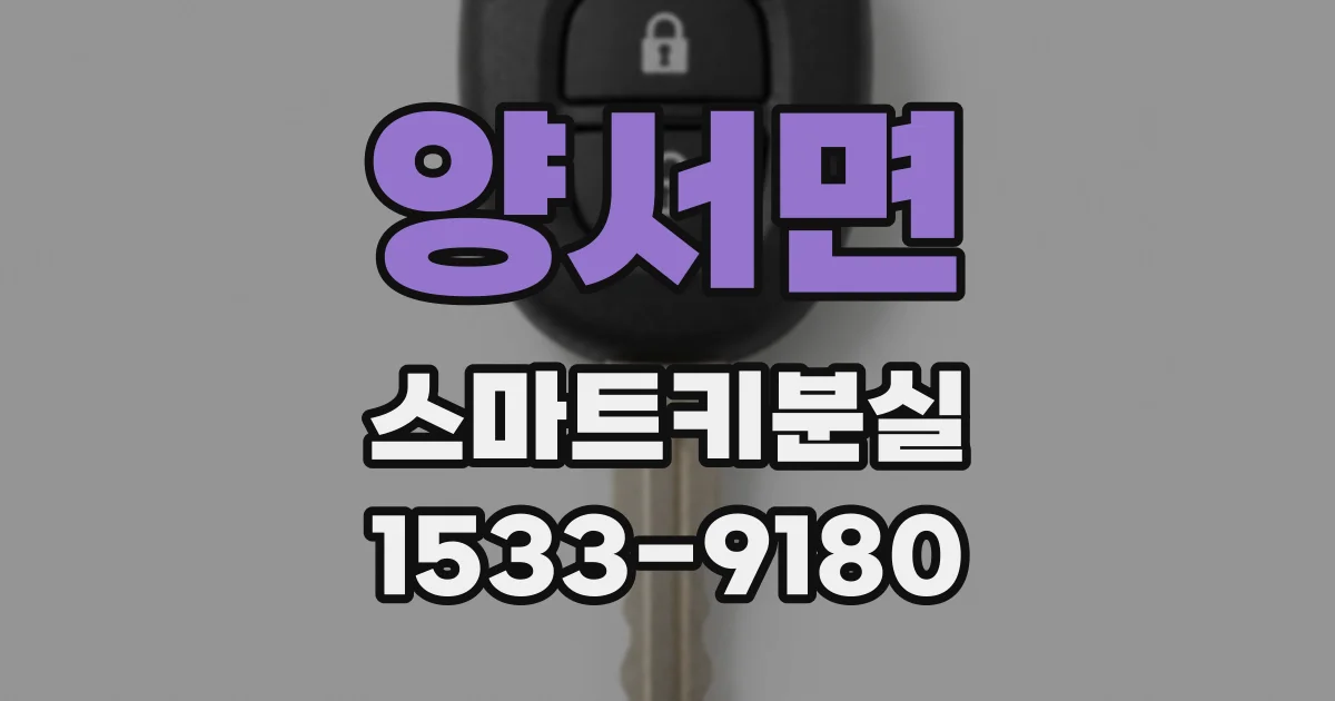 양서면 스마트키분실