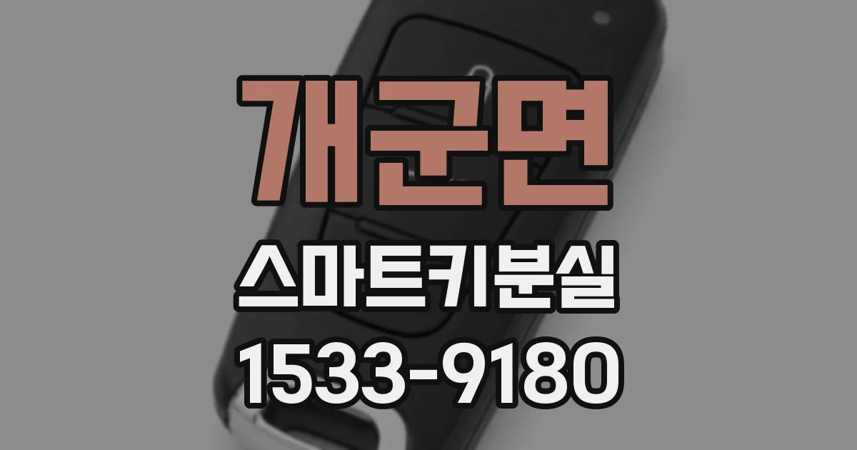 개군면 스마트키분실
