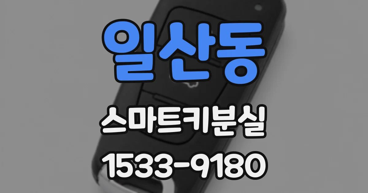 일산동 스마트키분실