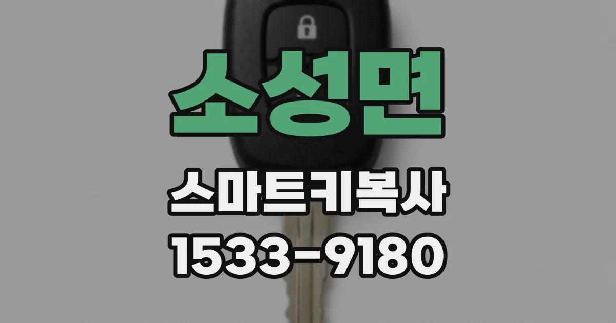 소성면 스마트키복사