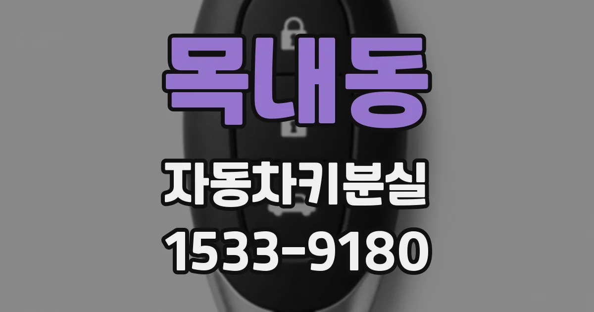 목내동 자동차키분실