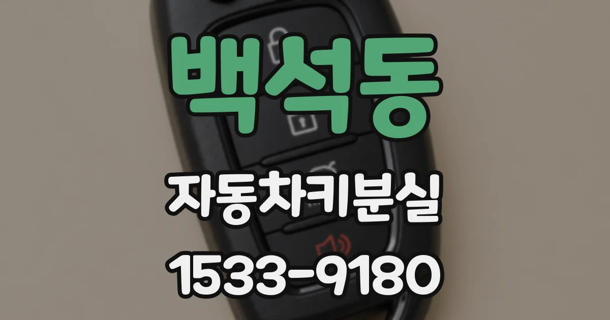 백석동 자동차키분실