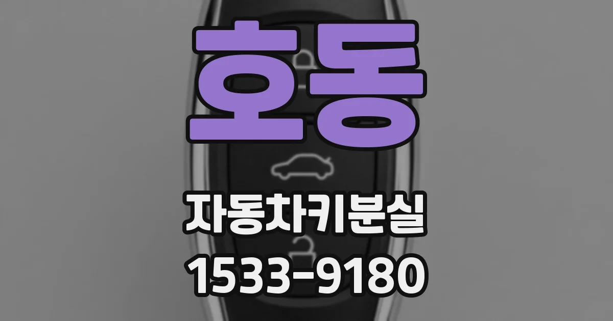 호동 자동차키분실