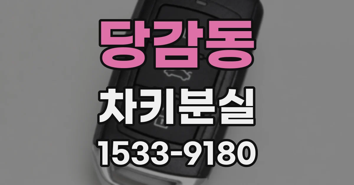 당감동 차키분실