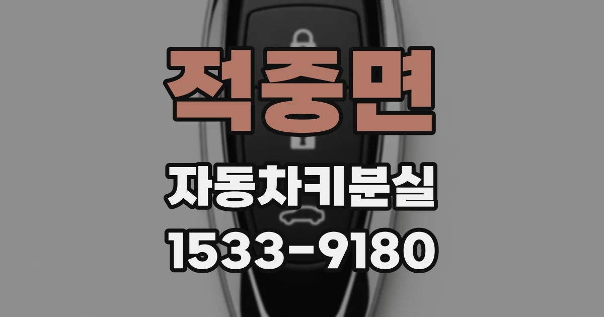 적중면 자동차키분실