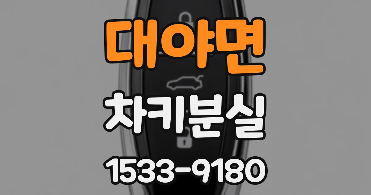 대야면 차키분실