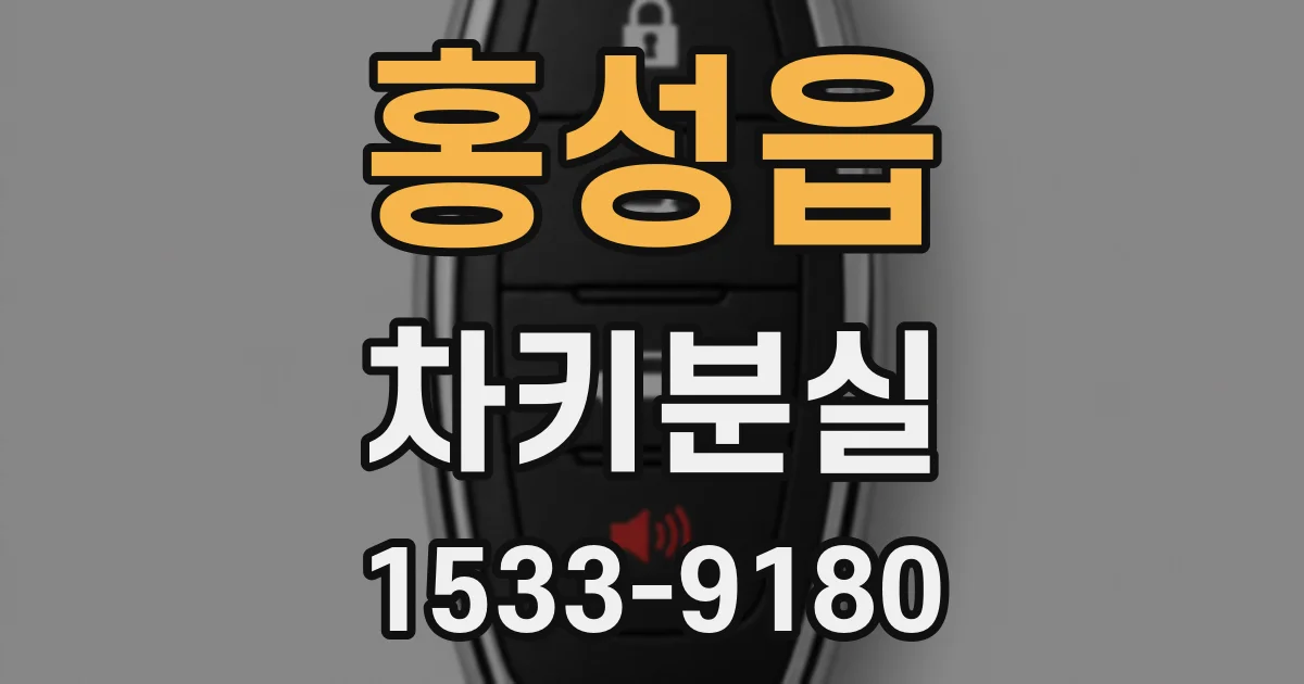 홍성읍 차키분실