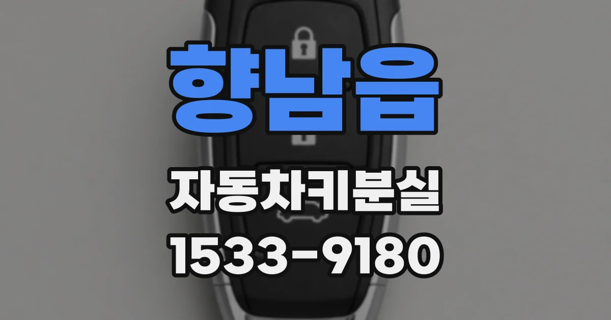 향남읍 자동차키분실