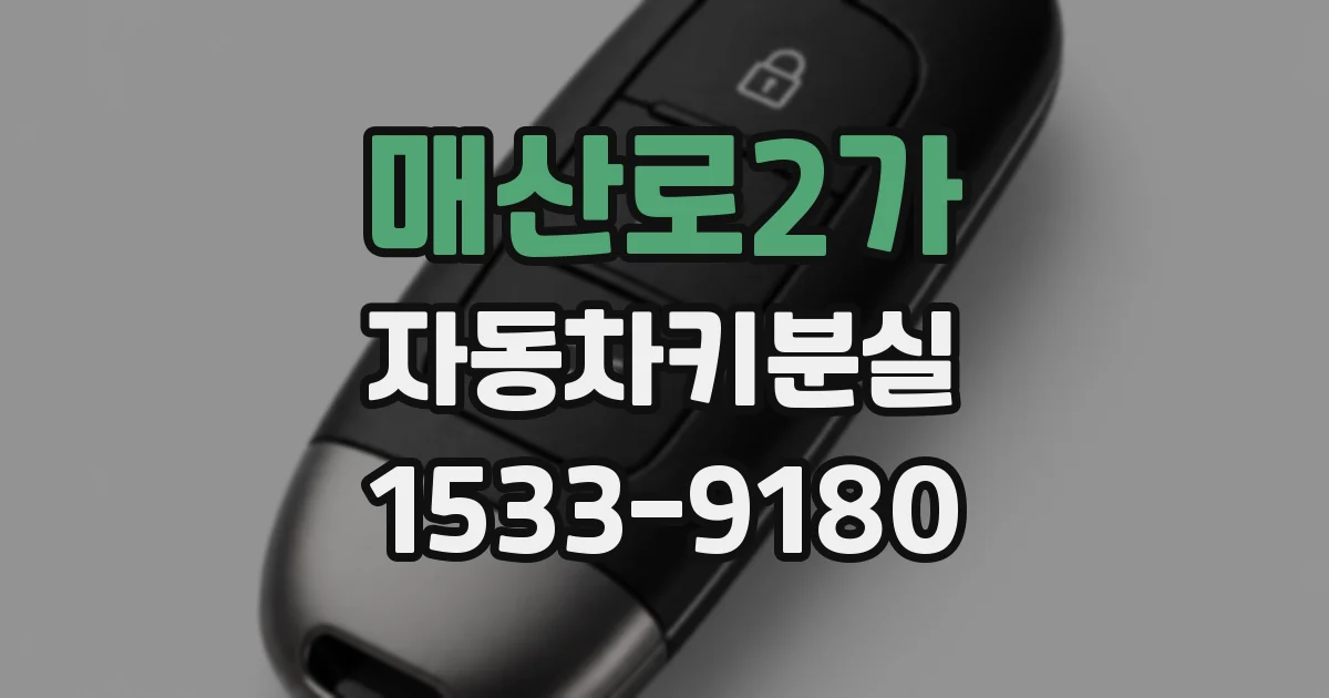 매산로2가 자동차키분실