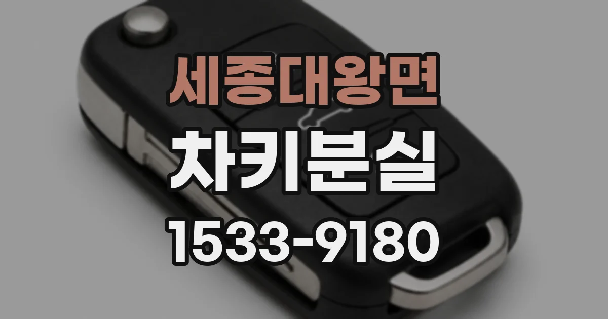 세종대왕면 차키분실