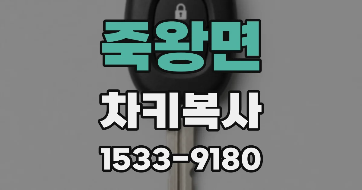죽왕면 차키복사