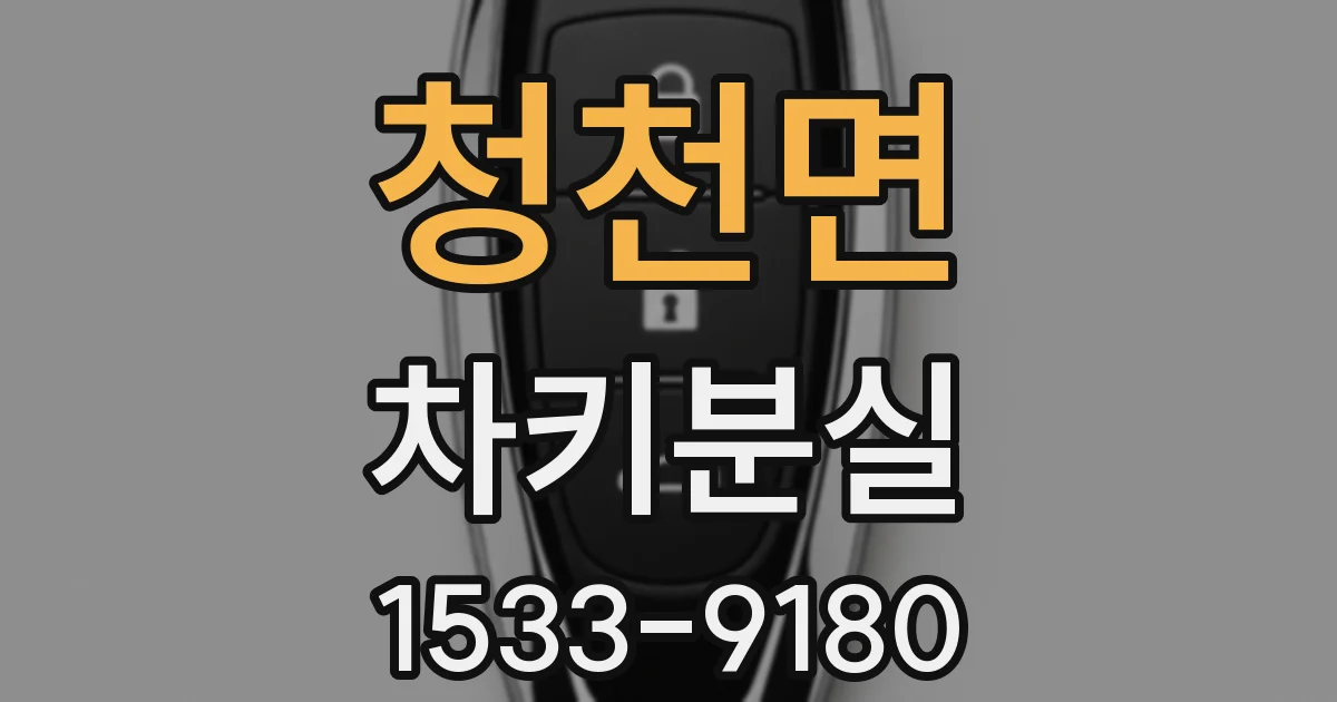 청천면 차키분실