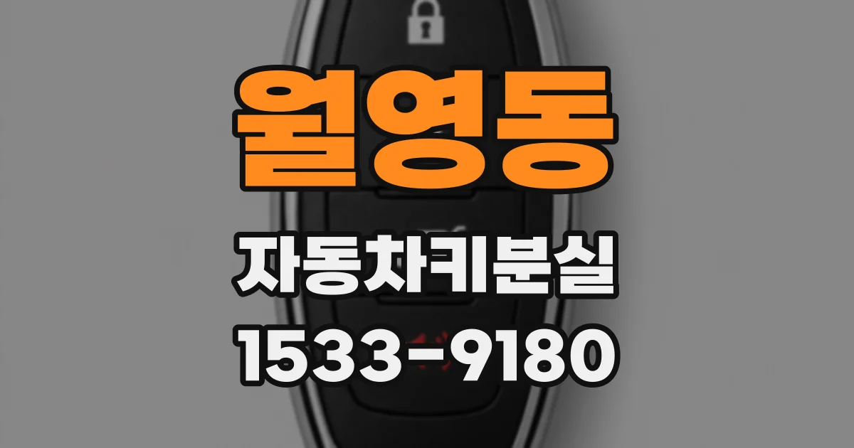 월영동 자동차키분실