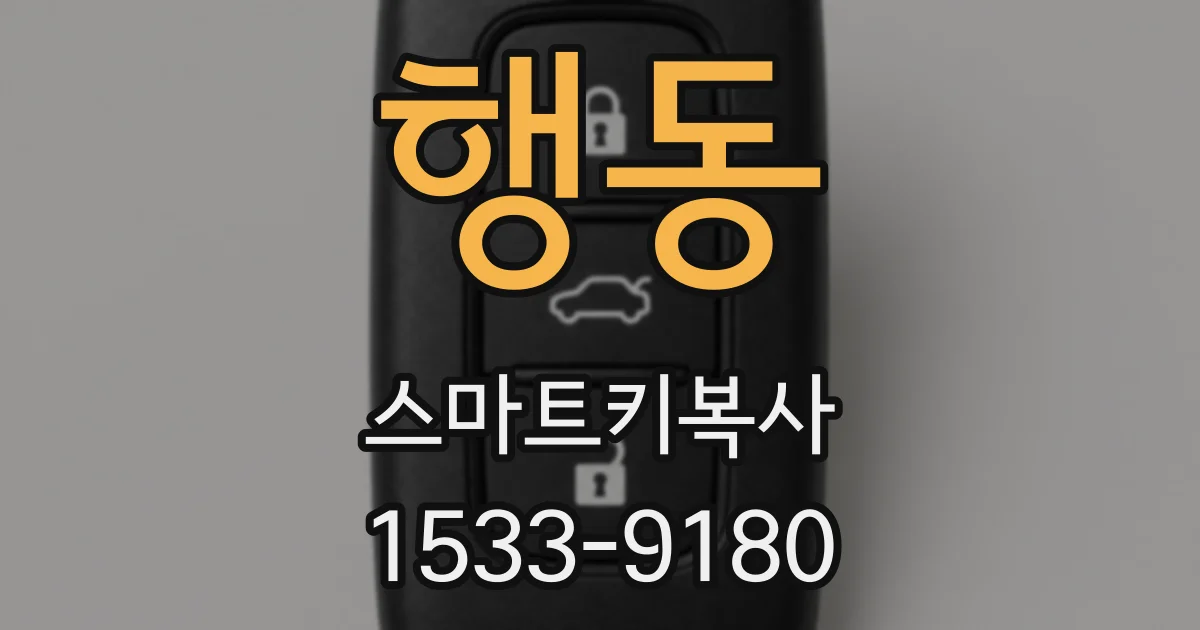 행동 스마트키복사