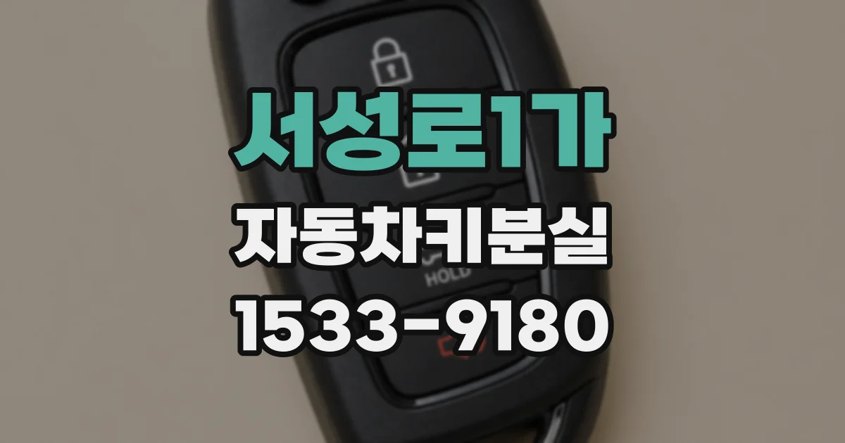 서성로1가 자동차키분실