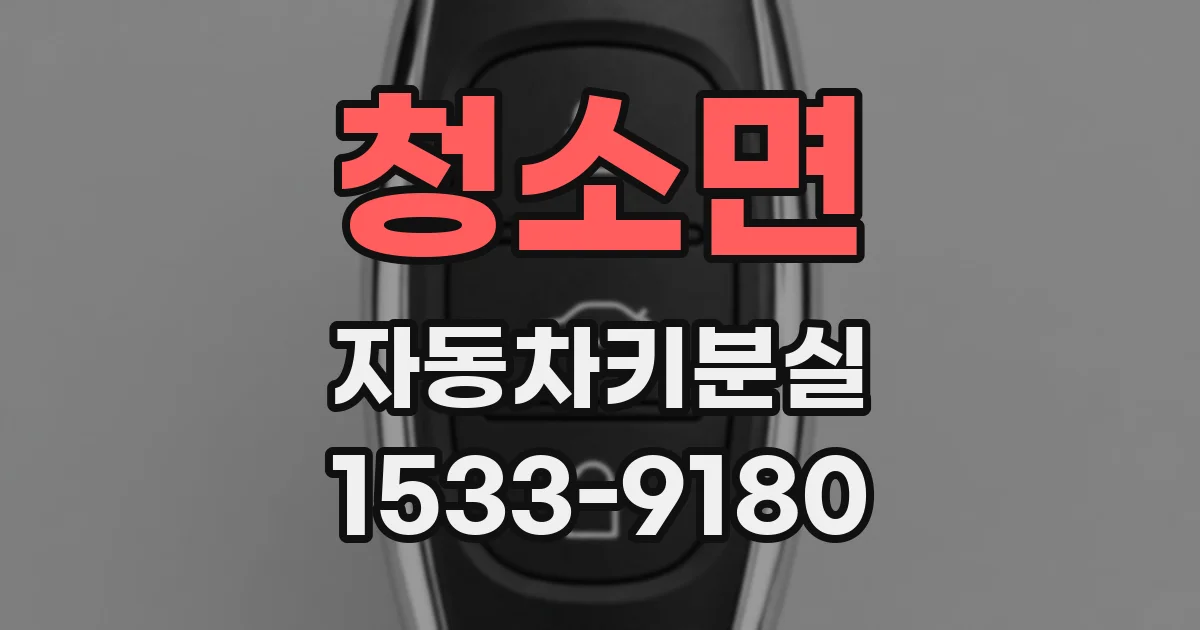 청소면 자동차키분실