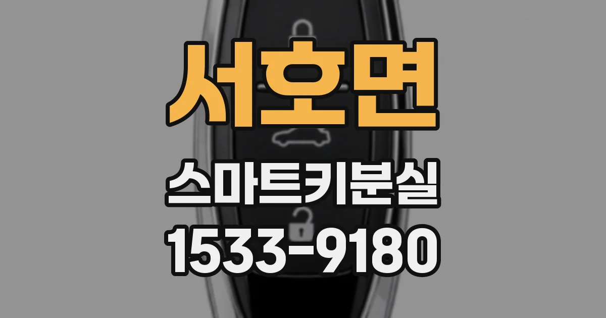 서호면 스마트키분실