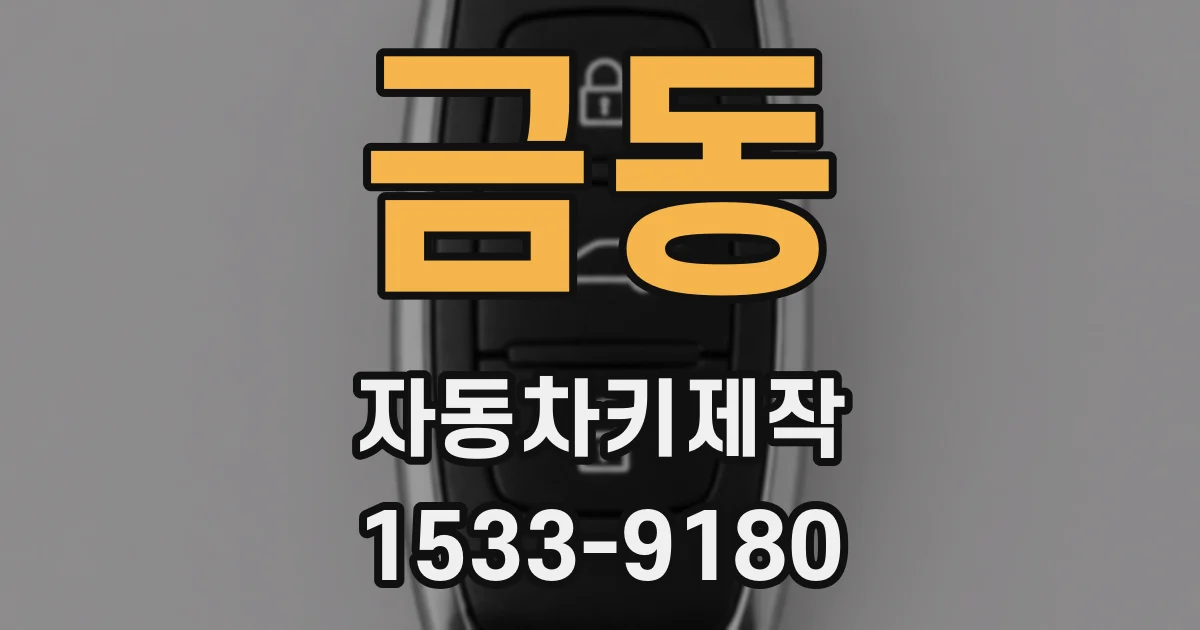 금동 자동차키제작
