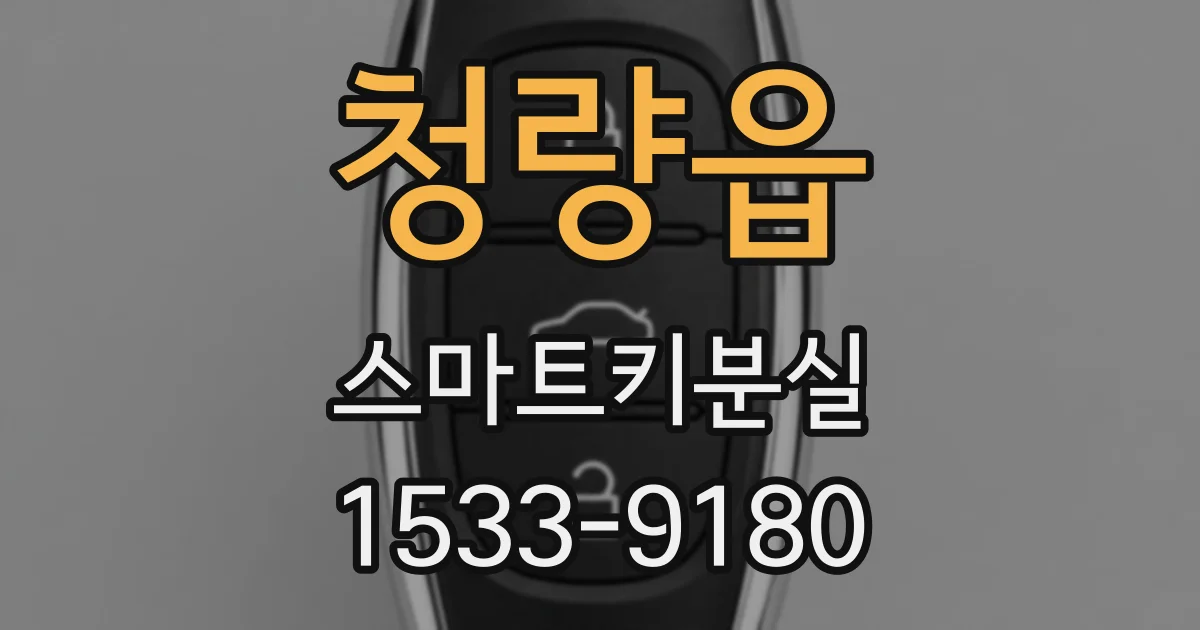 청량읍 스마트키분실