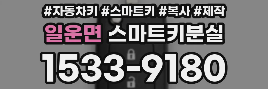 일운면 스마트키분실
