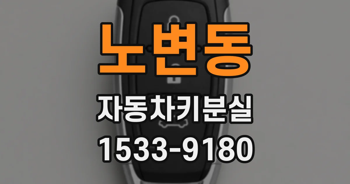 노변동 자동차키분실