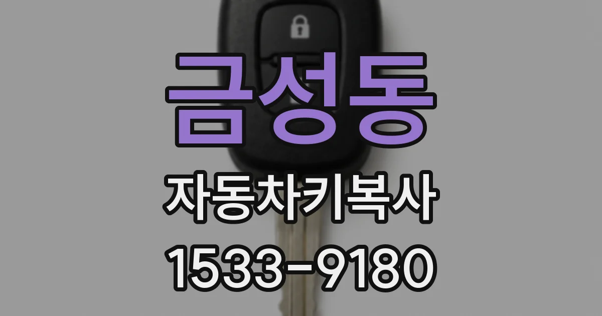 금성동 자동차키복사