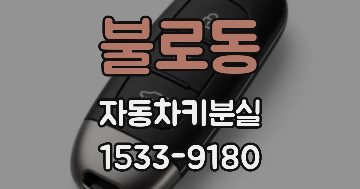 불로동 자동차키분실