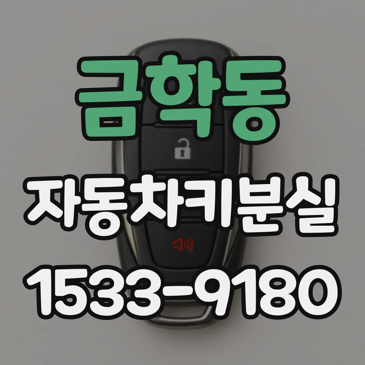 금학동 자동차키분실