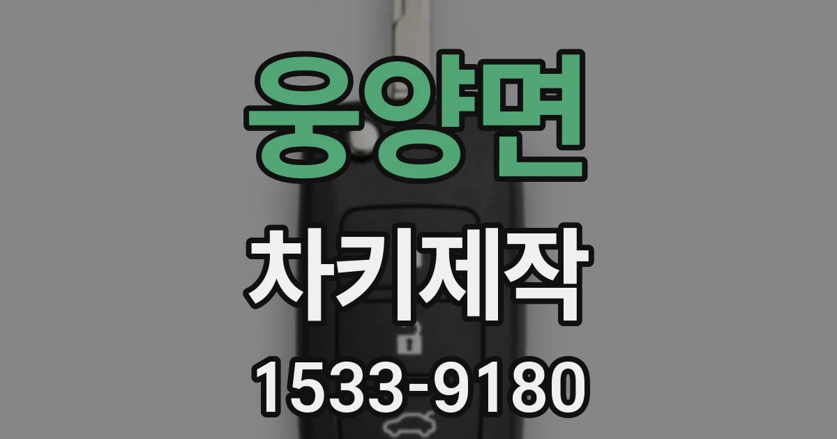 웅양면 차키제작