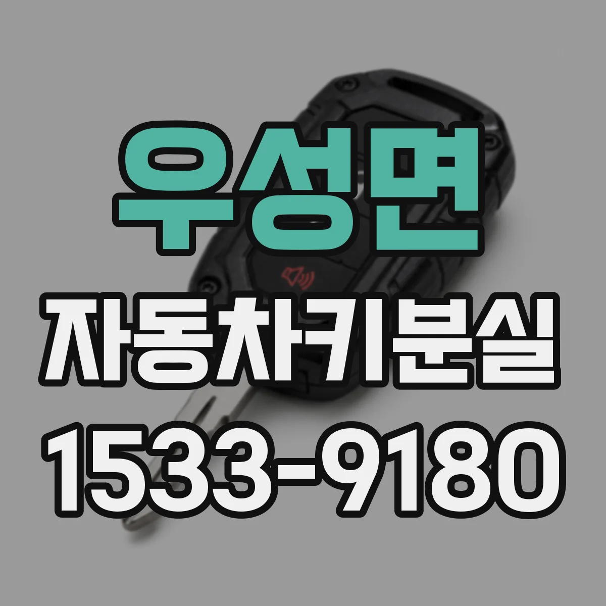 우성면 자동차키분실