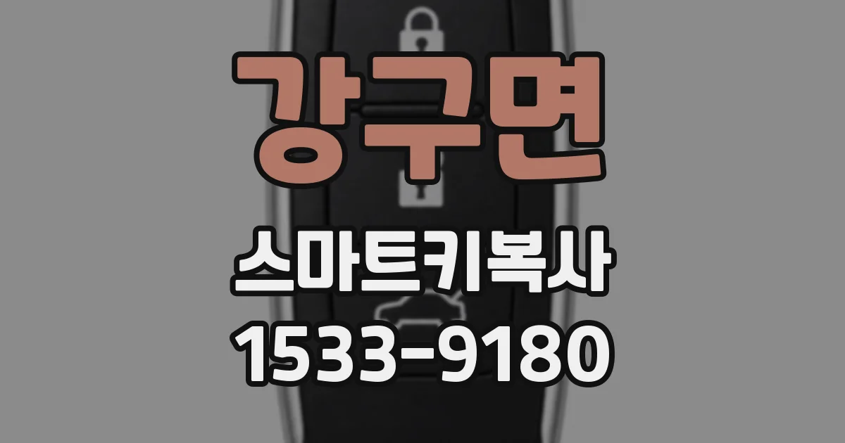 강구면 스마트키복사