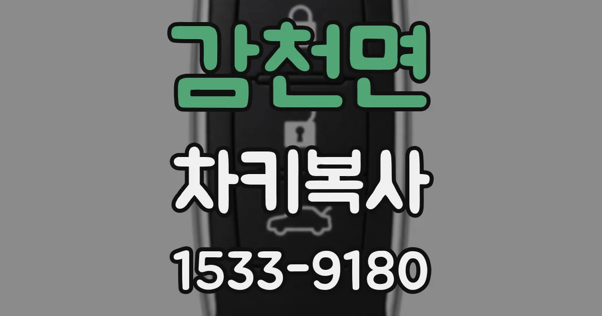 감천면 차키복사