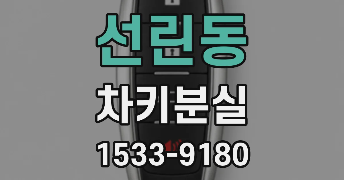선린동 차키분실
