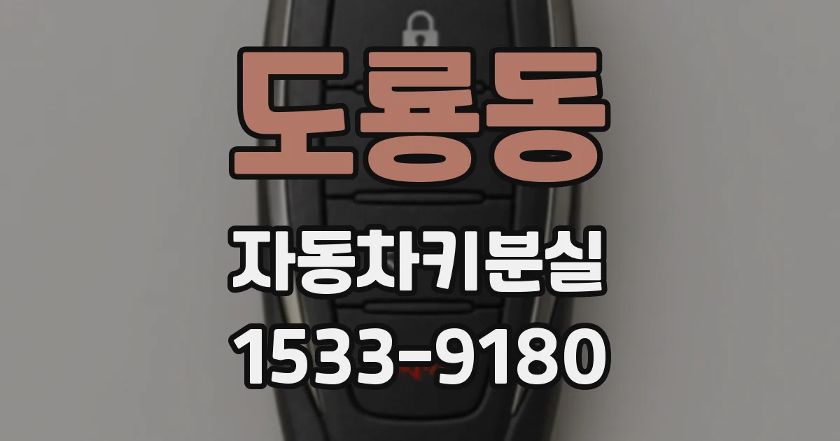 도룡동 자동차키분실