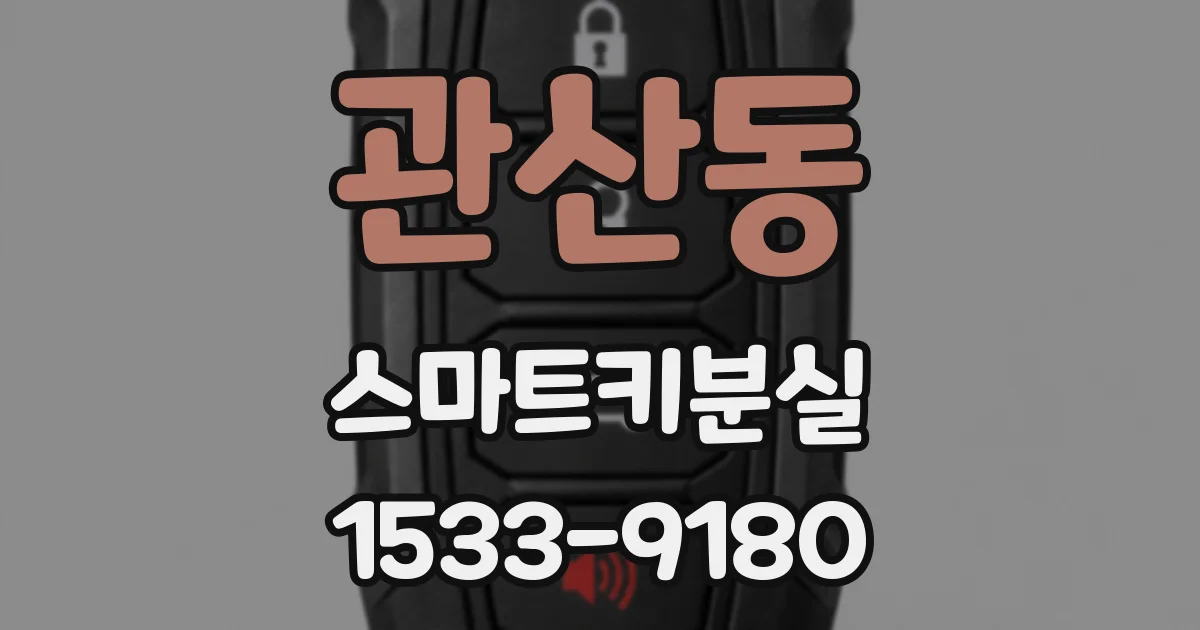 관산동 스마트키분실