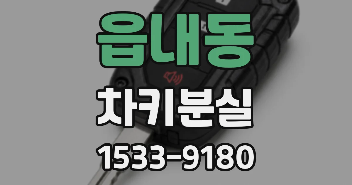 읍내동 차키분실