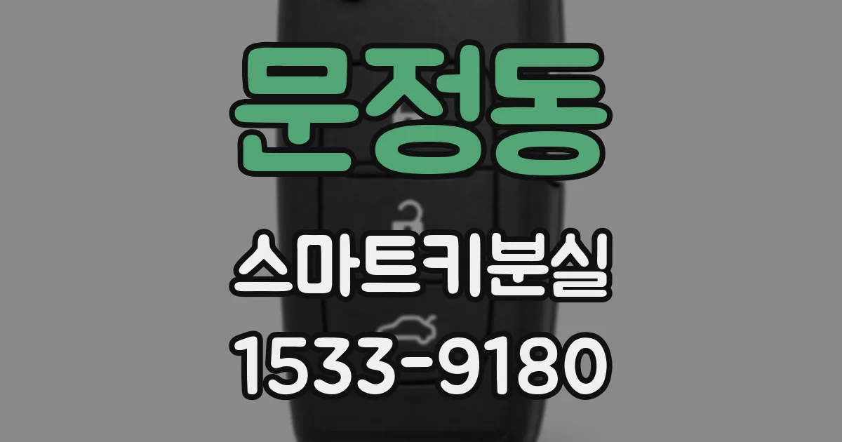 문정동 스마트키분실