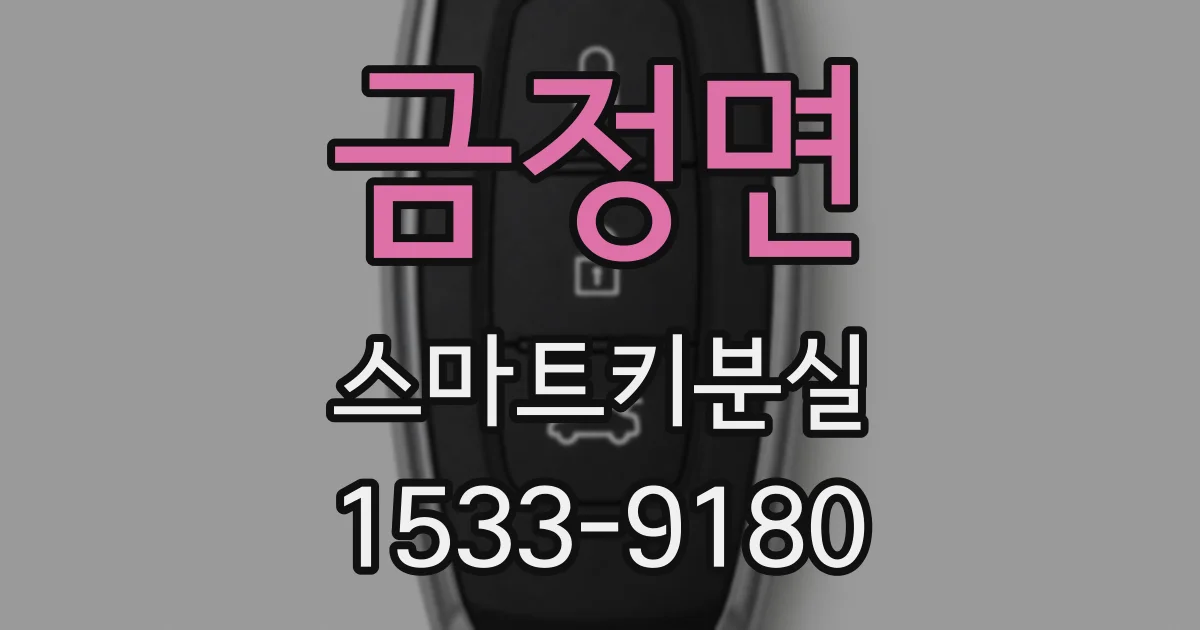 금정면 스마트키분실