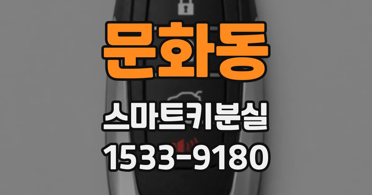 문화동 스마트키분실