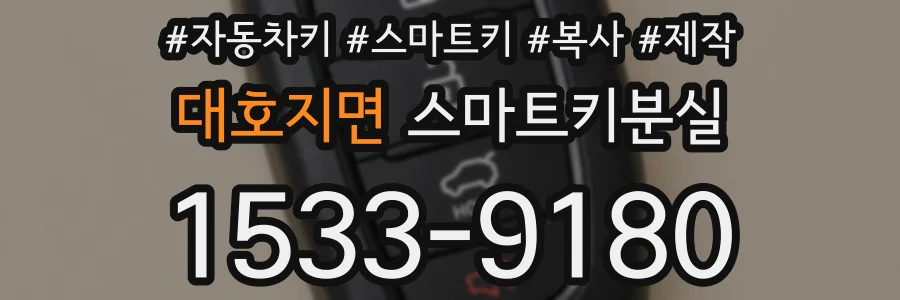대호지면 스마트키분실