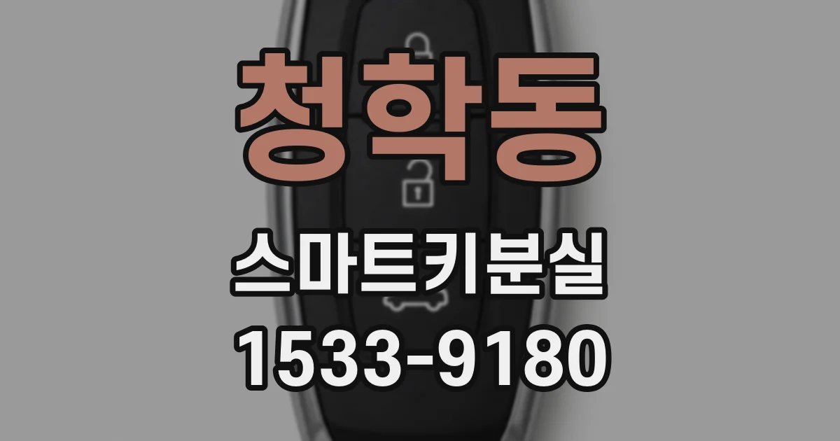 청학동 스마트키분실