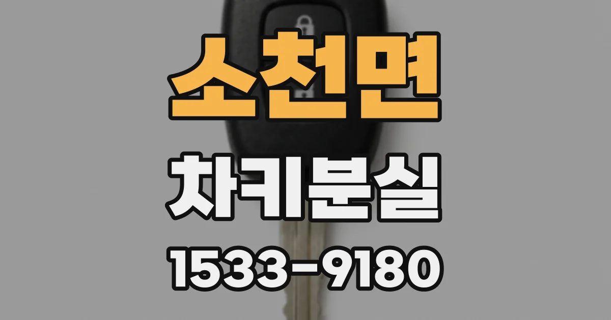 소천면 차키분실
