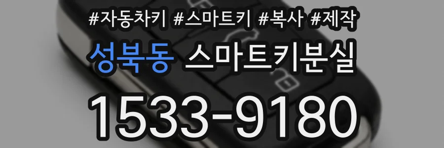 성북동 스마트키분실