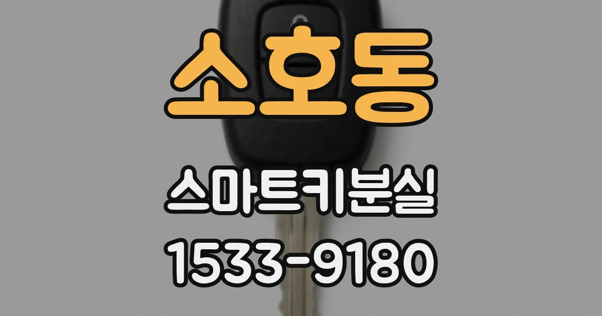 소호동 스마트키분실