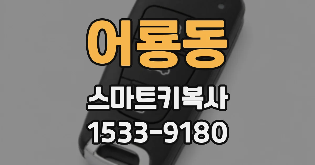 어룡동 스마트키복사